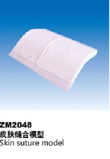 ZM2048皮肤缝合模型
