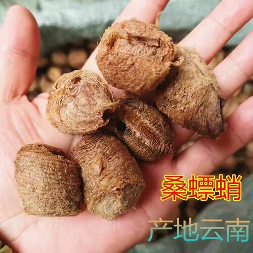 桑螵蛸中药材正品桑膘销硝桑飘蛸