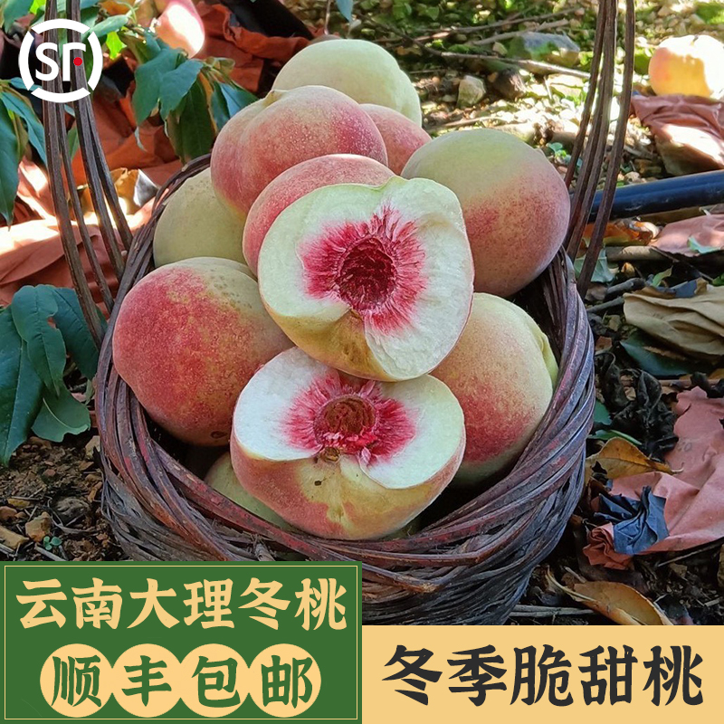 云南特产大理冬桃新鲜10斤脆甜毛桃水蜜桃雪桃应季水果顺丰包邮