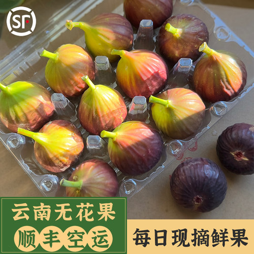 [小二推荐]无花果回购率第一名