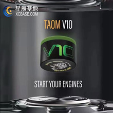 Taom巧克新款V10塔悟姆墨绿色巧粉圆形台球杆职业小头九球