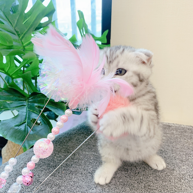 逗貓棒 仙女羽毛鈴铛響紙貓咪玩具套裝耐咬耐抓逗貓杆 寵物用品在類目 寵物/寵物食品及用品, 貓/狗玩具, 逗貓棒中 - 來自Buy2taobao.com提供專業的淘寶代購服務