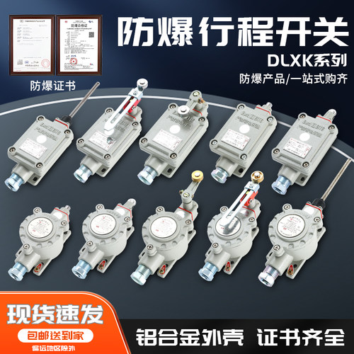 防爆行程限位开关BZX51防爆脚踏开关DLXK-15-B T Z L N S 型