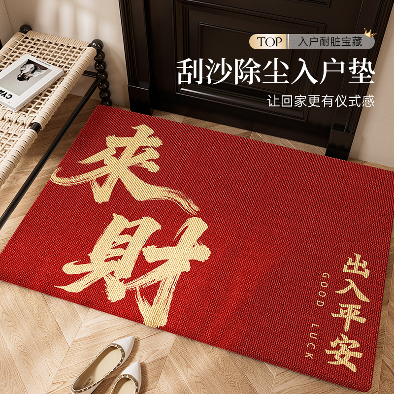 2025新款玄关入户地垫