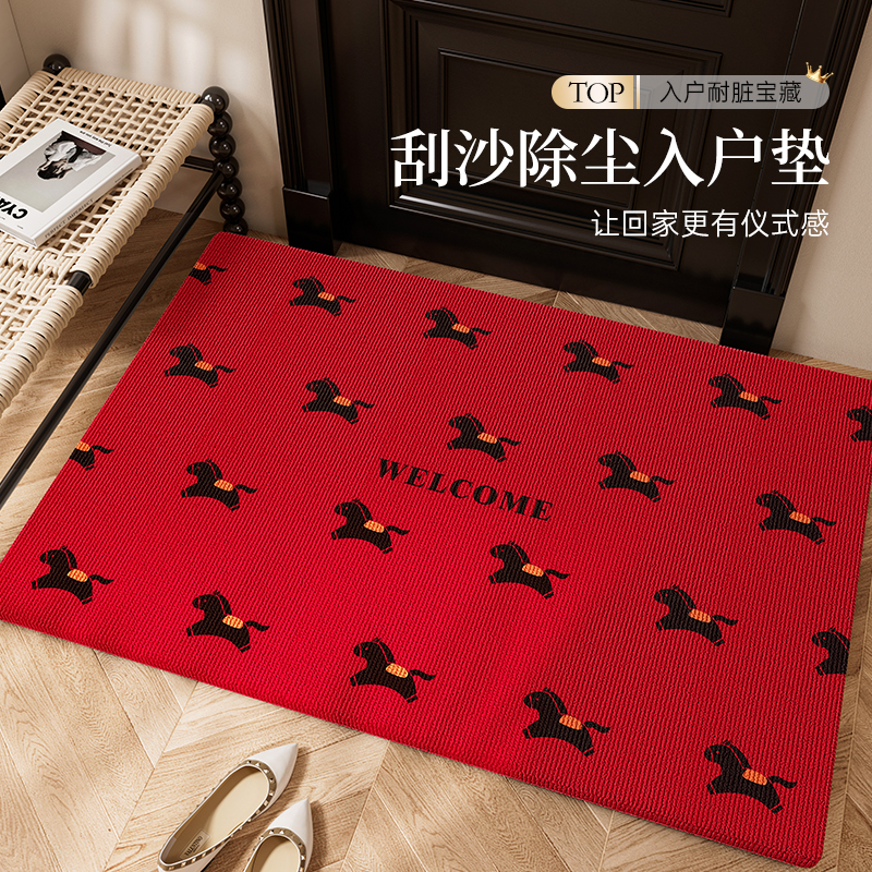 高级感免打理入户门地垫