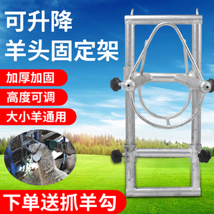 升降多功能可调节绑羊打针输液挤奶推羊毛 羊头固定架送绳子新款