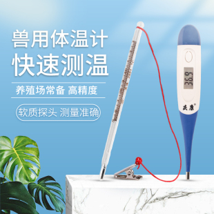 兽用体温计牛羊猪用肛门宠物温度计高精度精准玻璃兽用水银体温表
