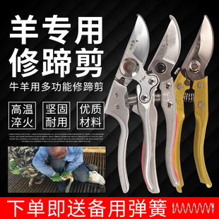 修羊蹄子剪刀羊修蹄刀兽用剪蹄刀羊修蹄工具剪脚趾剪子刀养羊用品