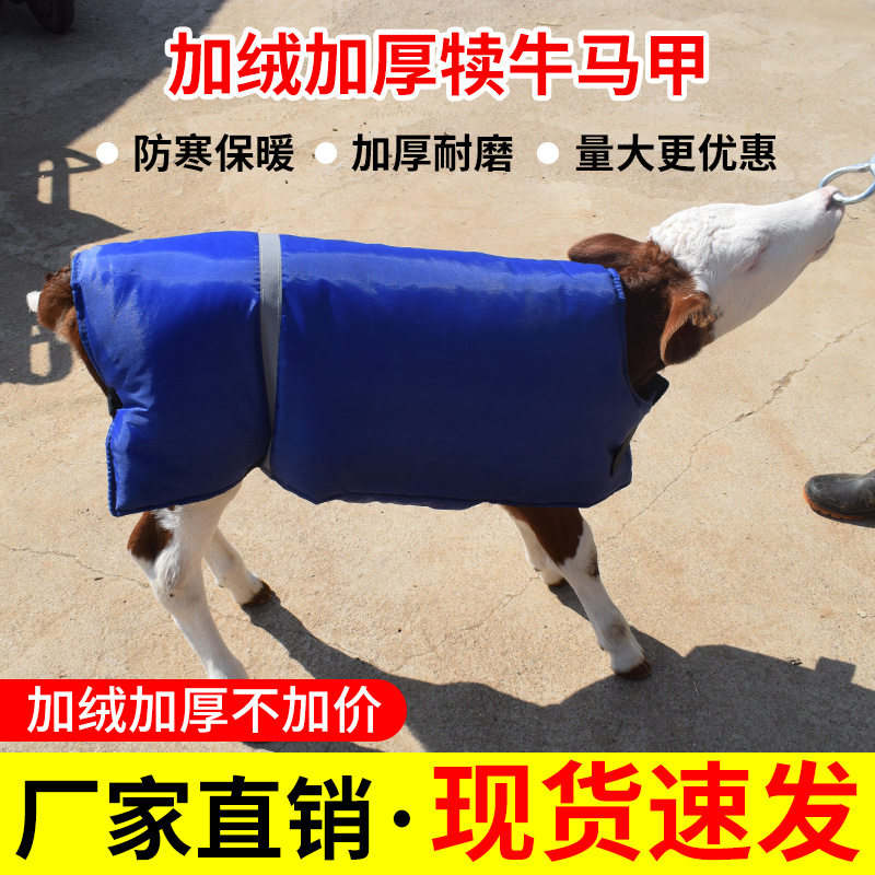 保暖防寒防水犊牛马甲