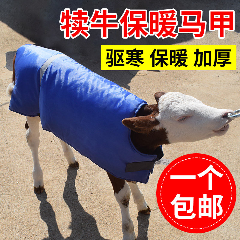 牛犊马甲小牛加厚防寒马甲牛犊子保暖防水棉衣养牛场犊牛保温衣服