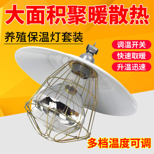 保温灯养殖场专用小鸡育雏加热取暖灯套装小猪发热灯泡保温灯灯罩