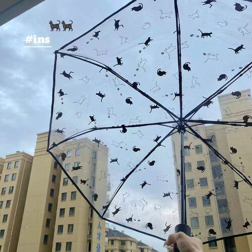 网红日系猫咪猫系狗狗雨伞女生高颜小清新透明长柄伞可爱学生自动