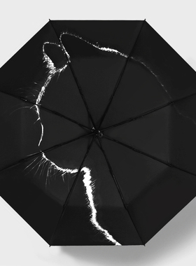自动雨伞黑白简约ins风太阳伞防晒晴雨两用遮阳伞防紫外线女黑胶