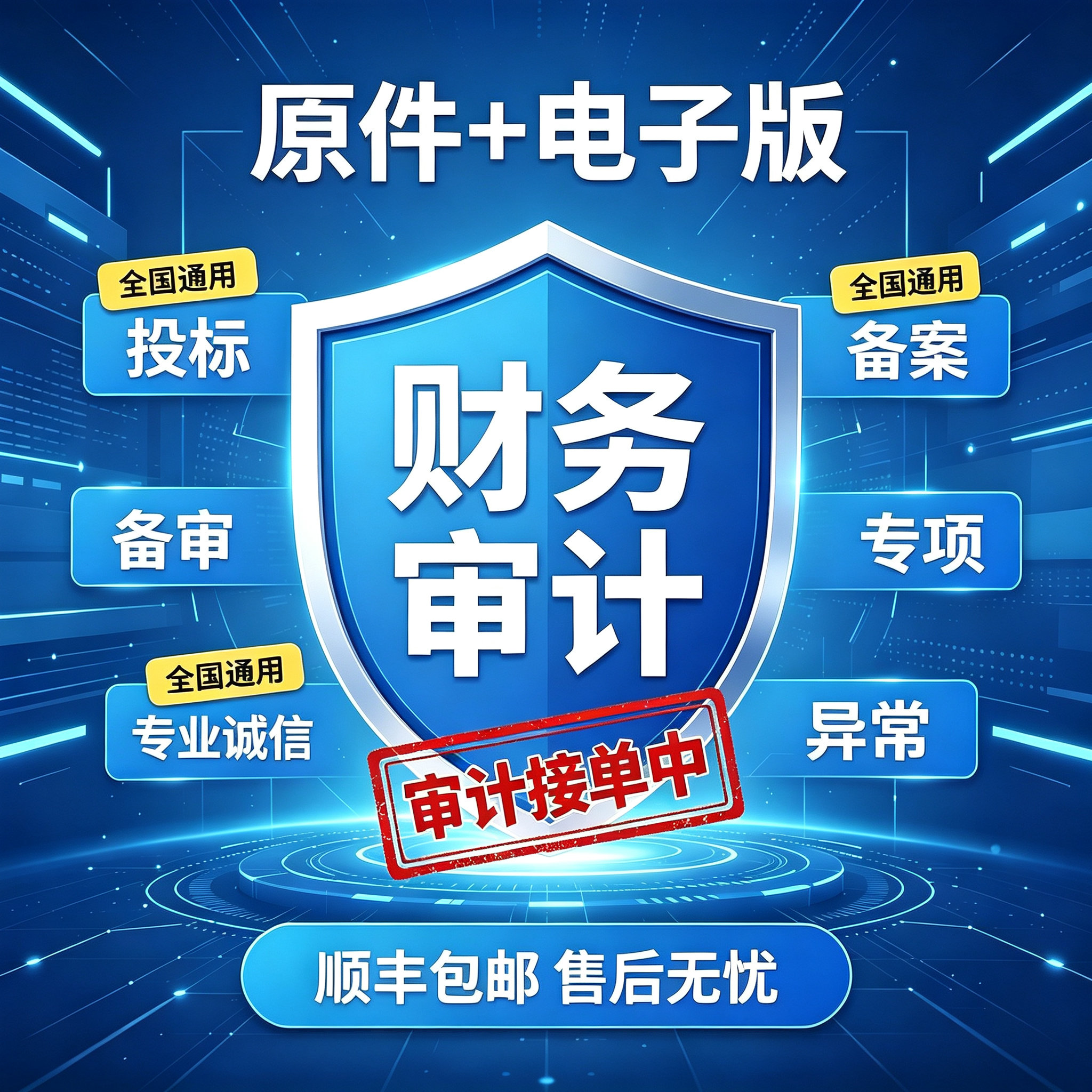 审计咨询投标公司年度财务报表专会计服务
