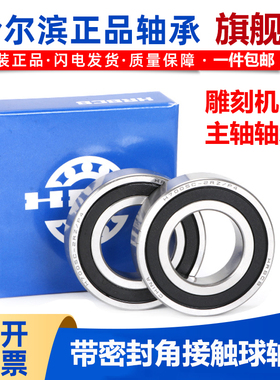 哈尔滨角接触带密封轴承H 7207 7208 7209 7210 7211C-2RZ/P4DBB