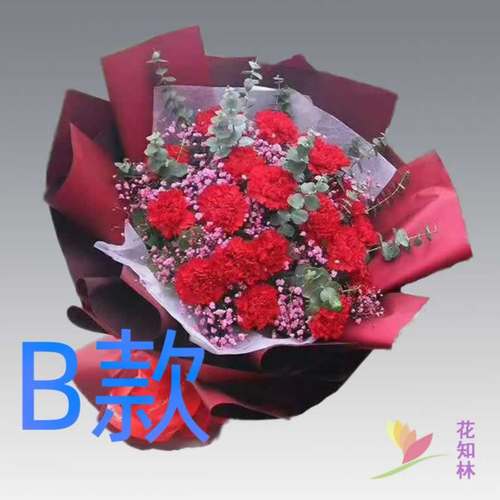 生日贺寿康乃馨安徽安庆花店送花宿松县望江县岳西县同城鲜花快递