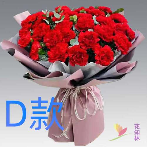 生日探望康乃馨江西上饶花店送花横峰县弋阳县余干县同城鲜花快递