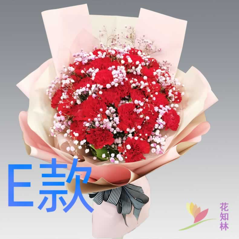 生日祝寿康乃馨河北衡水花店送花武邑县武强县饶阳县同城鲜花速递