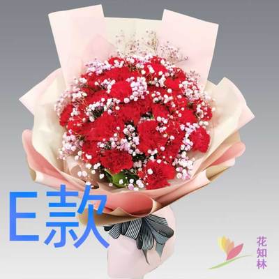 生日纪念康乃馨云南普洱花店送花宁洱县墨江县景东县同城鲜花快递