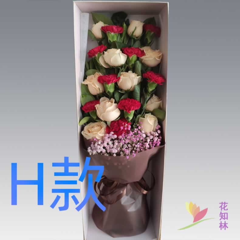 生日探望康乃馨贵州兴义花店送花望谟县册亨县安龙县同城鲜花速递