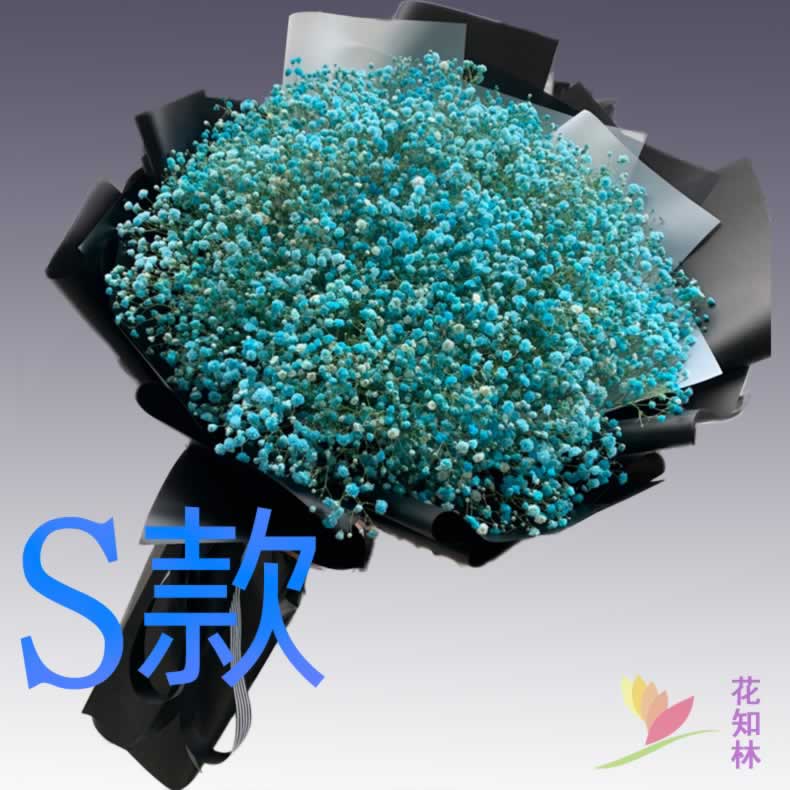 生日求婚白百合湖北荆门花店送花沙洋县钟祥市东宝区同城鲜花快递