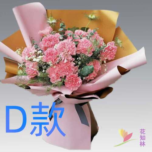生日祝寿康乃馨黑龙江牡丹江花店送花西安区东宁县林口县鲜花速递