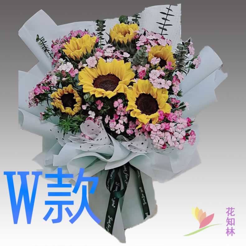 生日求婚白百合河南新乡花店送花封丘县长垣县卫辉市同城鲜花快递