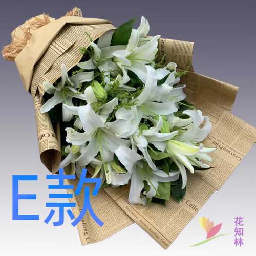 生日求婚粉百合辽宁大连花店送花长海县瓦房店市普兰店市鲜花速递