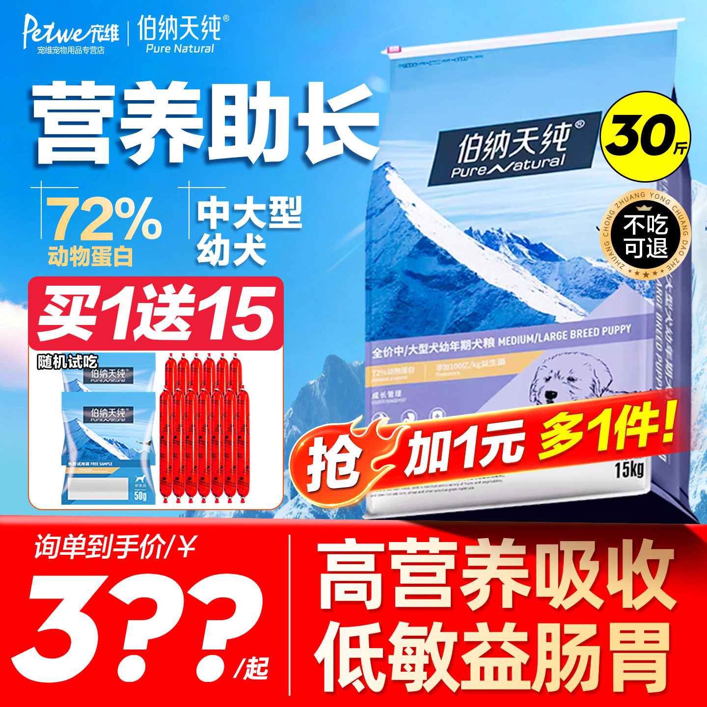 伯纳天纯中型大型幼犬德牧边牧图片