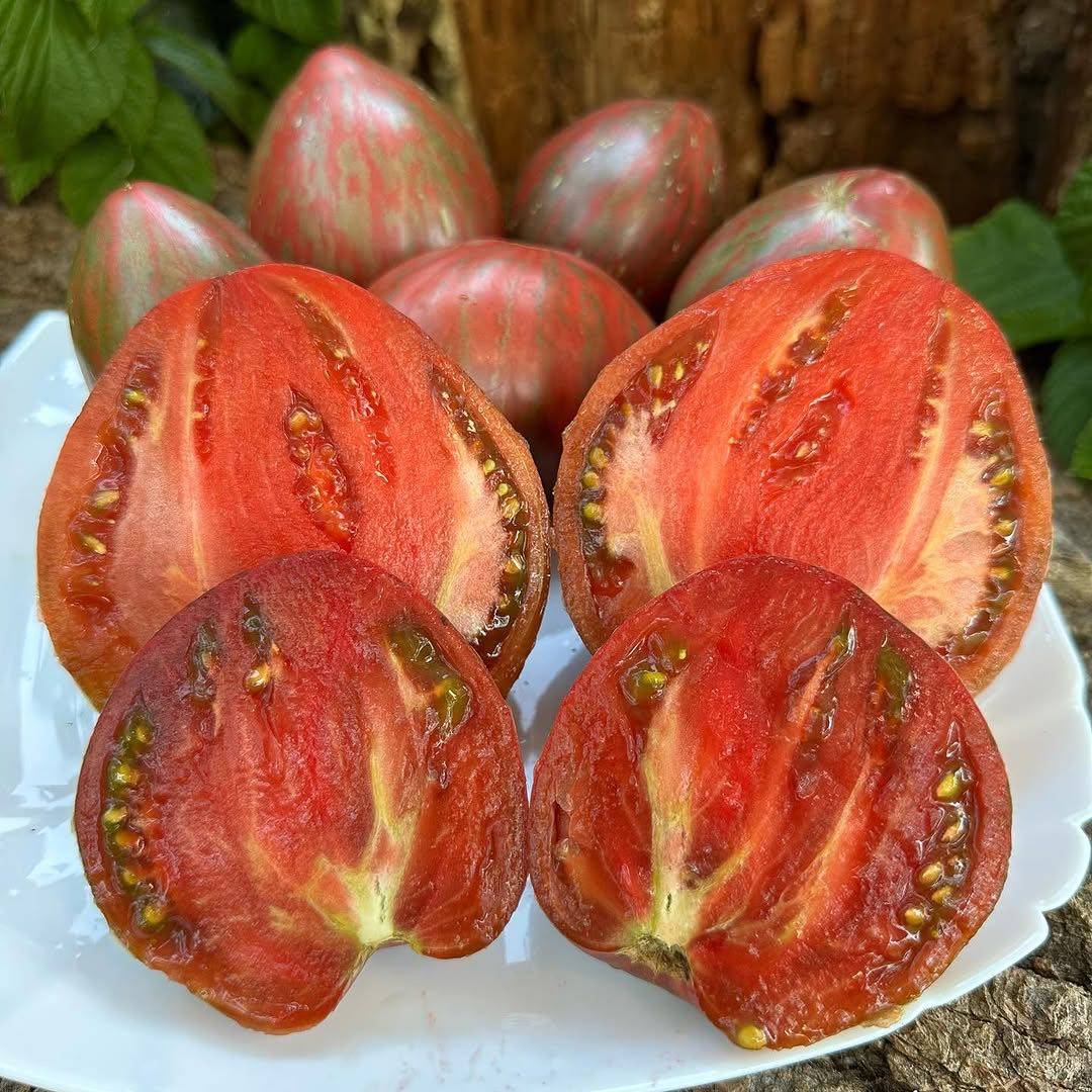 克里米亚玫瑰西红柿品种413