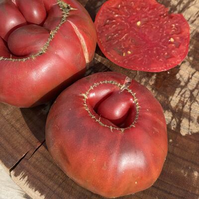 【强推】黑熊番茄种子5粒俄罗斯传统大果薄皮沙瓤庭院盆栽露台