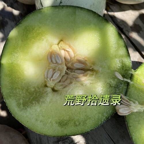 绿茵10粒种子高糖软肉适合西北北方家庭种植蜜瓜哈密瓜