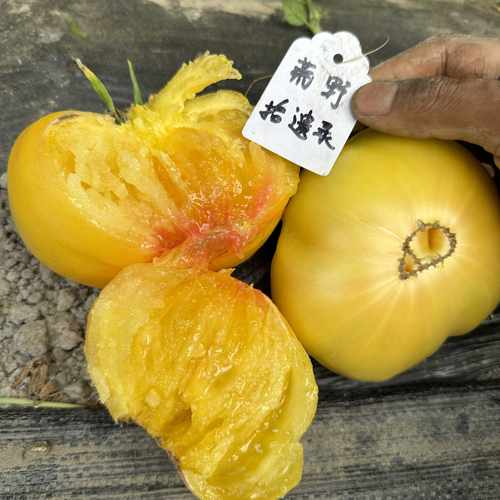 俄罗斯米努辛斯克芒果 Минусинское манго