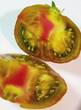 绿肉中果余震3粒 dwarf 矮化型 阳台露台 庭院 家庭园艺种子