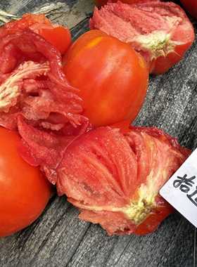 布尔萨克Bull Sac 种子5粒 橘红色牛心番茄庭院露台种植