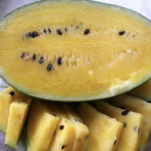崩瓜种子5粒 甜度高 适合家庭种植 园艺种植