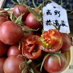 巧克力(约10粒)荒野拾遗录 满29包邮