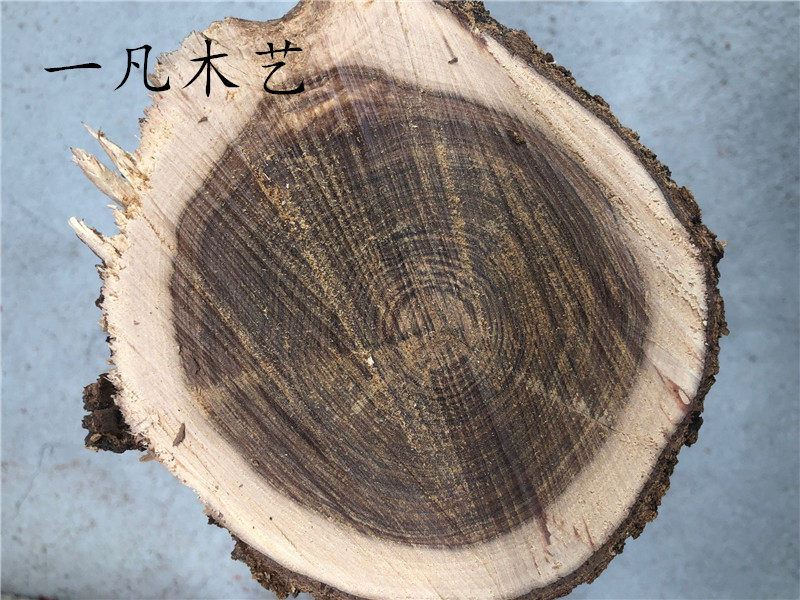 檀香木 澳洲檀香原木实木 笔筒料 弹弓料 木料红木