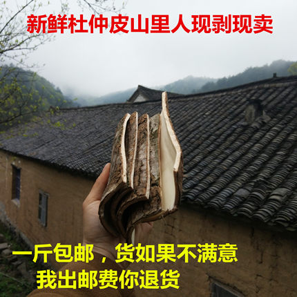 新鲜杜仲皮农民自产自销现剥现卖500克包邮。
