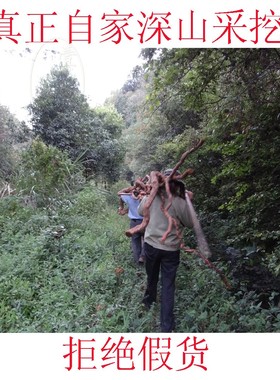 自家在山里挖的 野生公猕猴桃根 雄洋桃根 阳桃根 藤梨根 包邮