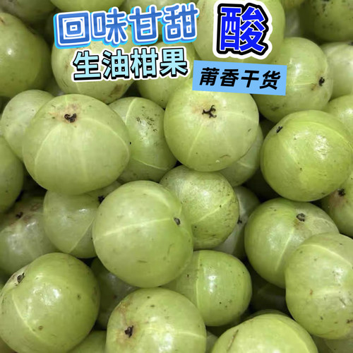 福建特产特产新鲜油柑 青油柑一斤 多省包邮