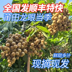 莆田龙眼夏天当季新品新鲜水果乌龙岭眼香甜多汁顺丰包邮