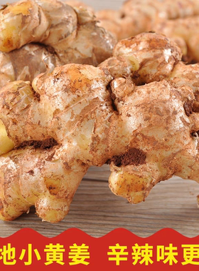 500g生姜贵州云南小黄姜新鲜生姜老姜沙姜土姜月子姜嫩姜食用生姜