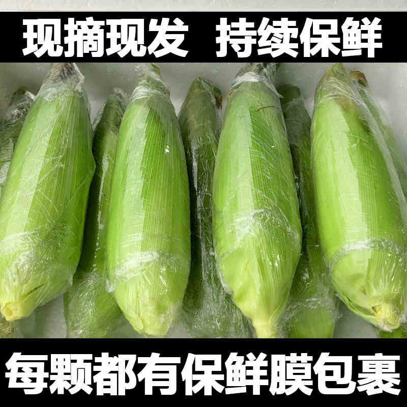 一级新鲜水果玉米嫩甜金银5斤云南玉米棒可以生吃蔬菜包邮当季腚