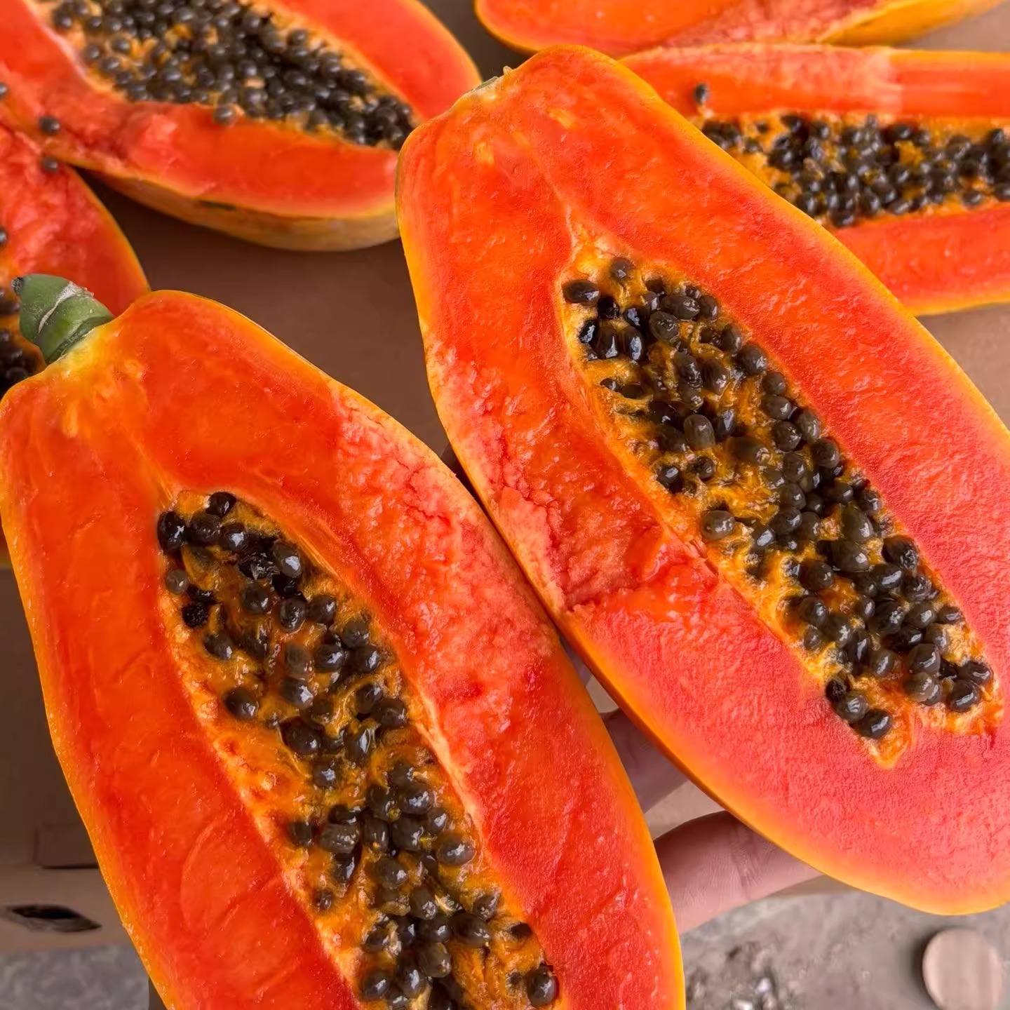 海南红心牛奶木瓜大果子