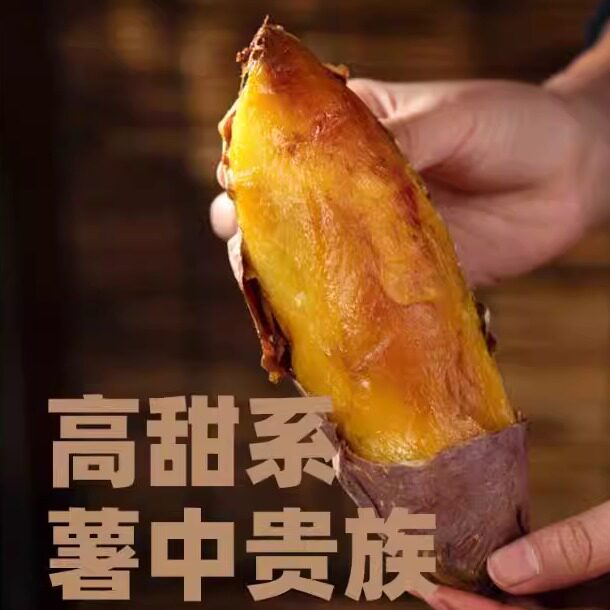 顺丰包邮正宗榴莲蜜薯烤地瓜红瑶黄心红薯新鲜农家腚糯金莎山芋