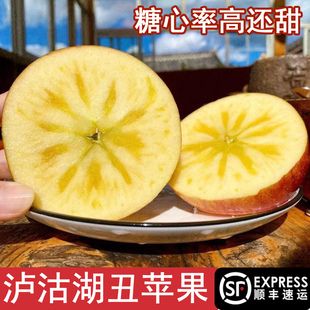 藏地泸沽湖冰糖心丑苹果老品种丽江宁蒗苹果云南高山新营盘昭通腚