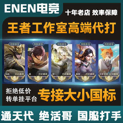 王者荣耀代打小国标百星排位上分巅峰国服陪玩代练魔方金省工作室