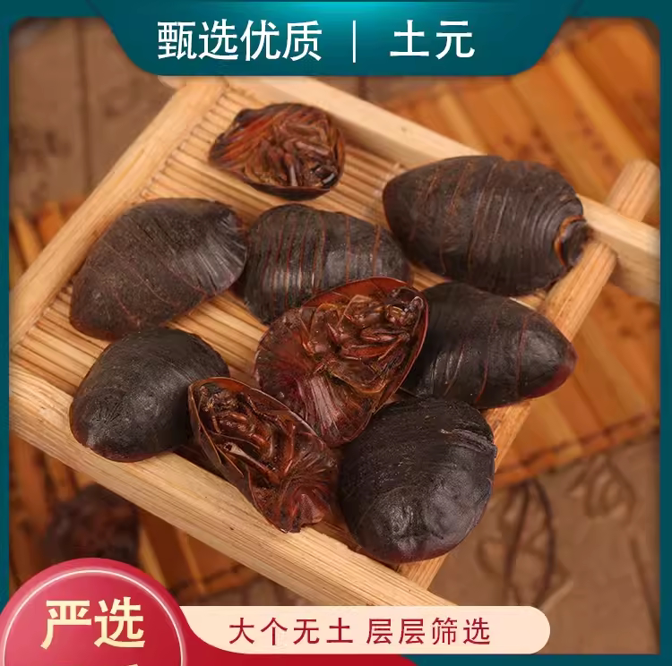 土元土元虫土元干中华土鳖虫土鳖虫土元地鳖虫