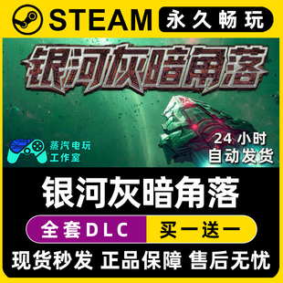 银河灰暗角落 Steam国区全球区电脑单机游戏CDKey全DLC序列号密钥